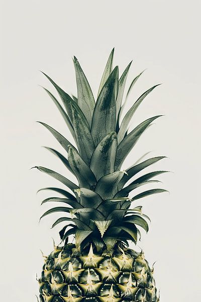 Ananas