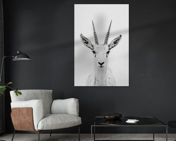 Antilope