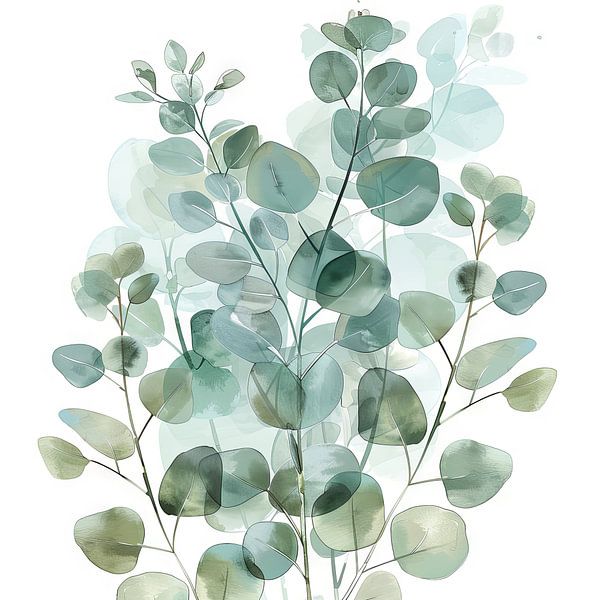 Eucalyptus