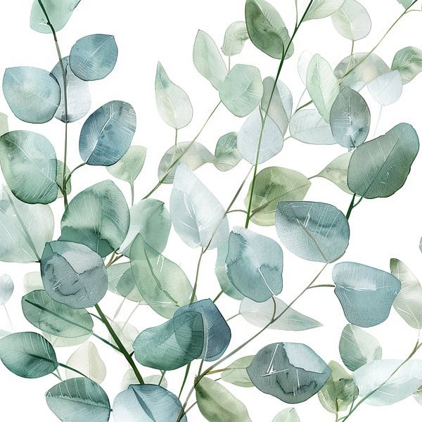 Eucalyptus