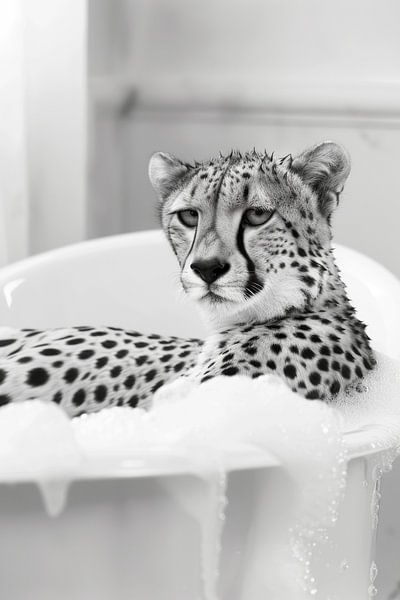 Gepard in der Badewanne - Ein lustiges Badezimmer Bild