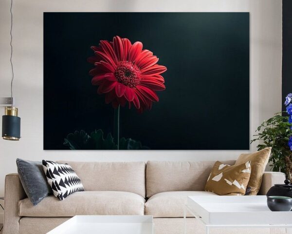 Gerbera