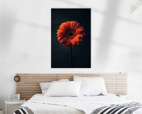 Gerbera