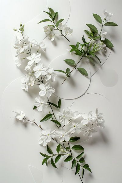 Jasmin