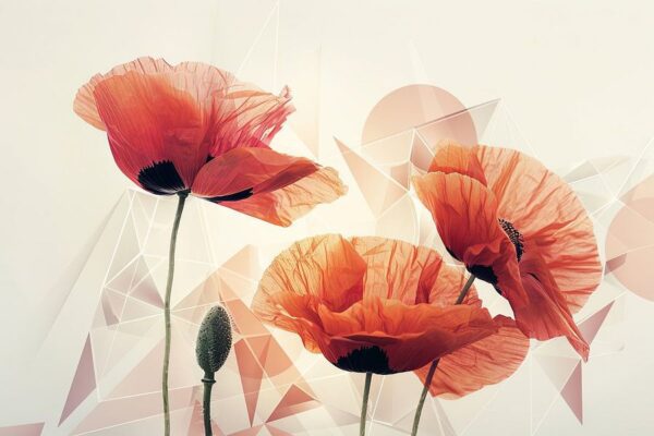 Mohn - Mohn Blumen