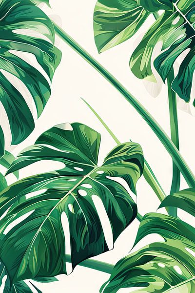 Monstera