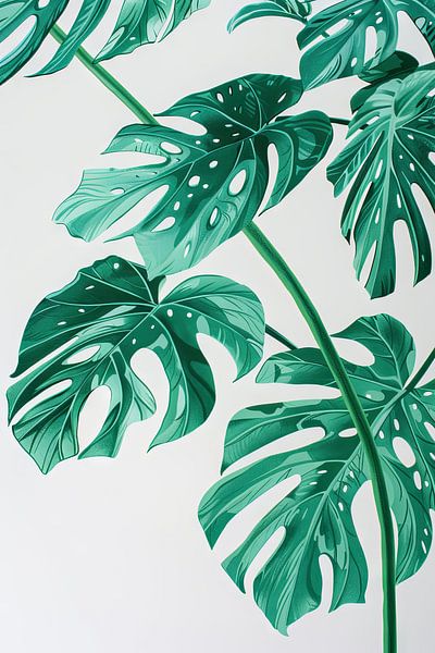 Monstera