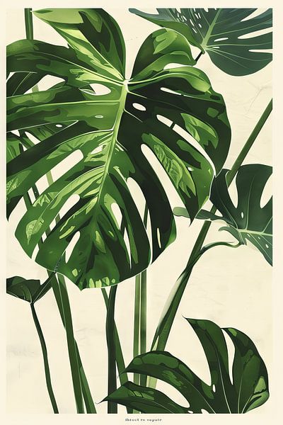 Monstera