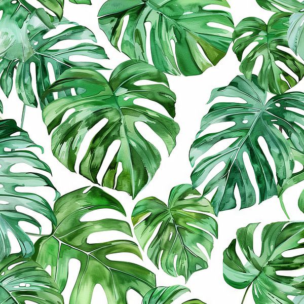 Monstera