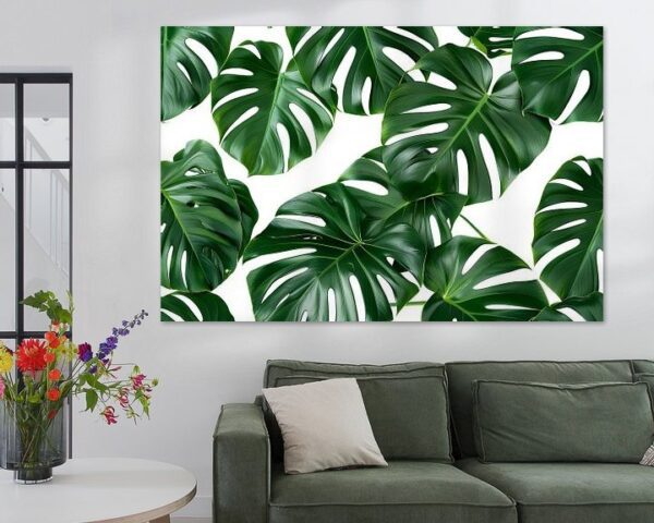 Monstera