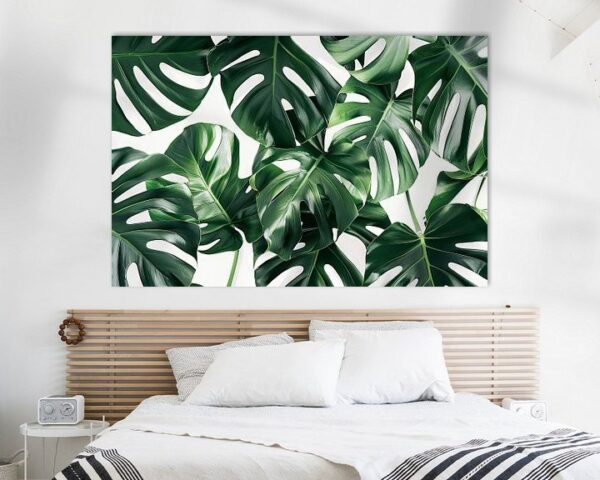 Monstera