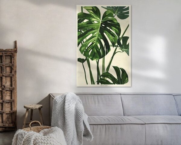 Monstera