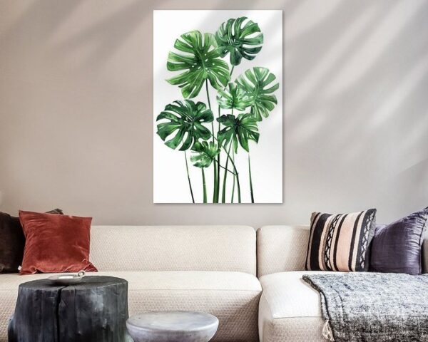 Monstera