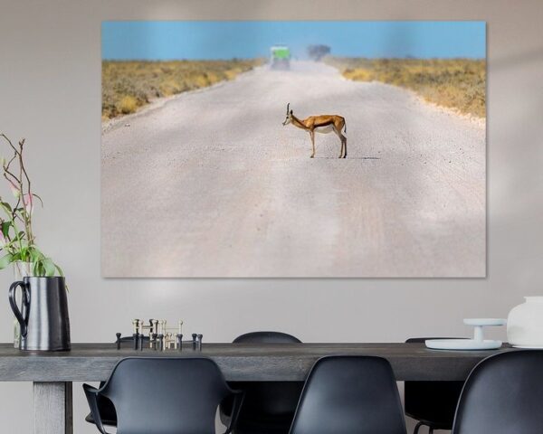 Namibia - Afrika - Springbock auf einer Strasse