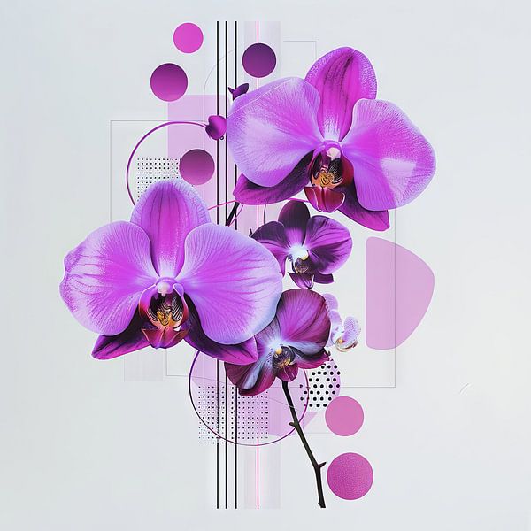 Orchidee