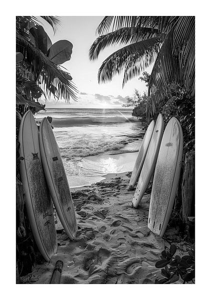 Surfbretter Am Tropischen Strand Im Morgengrauen