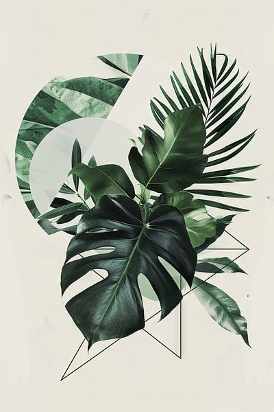 Tropische Blätter Monstera