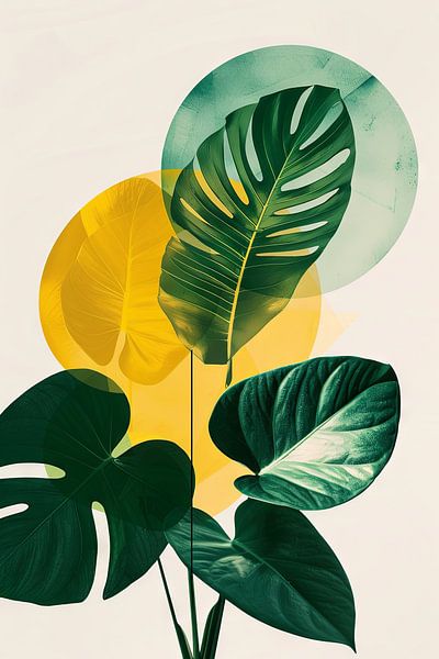 Tropische Blätter Monstera