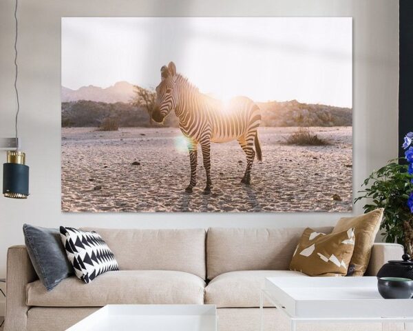 Zebra im Gegenlicht in Namibia