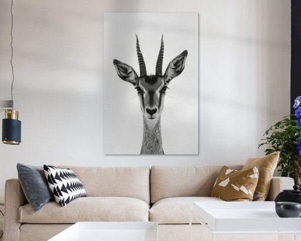 Antilope