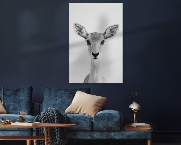 Antilope