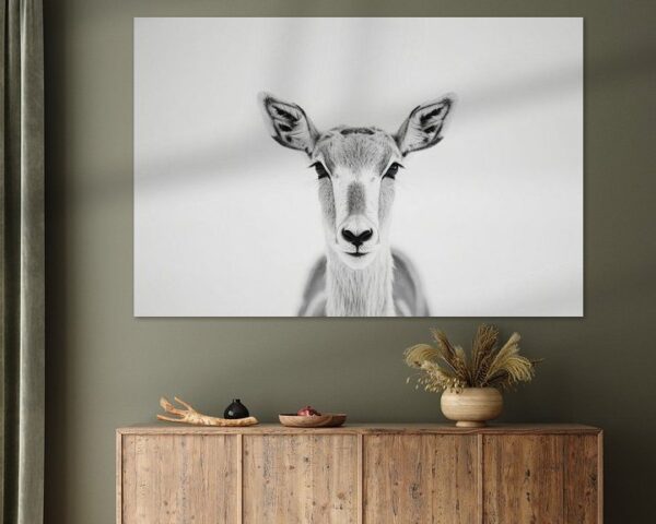 Antilope