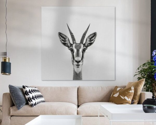 Antilope - Schwarz-Weiß Fotografie für Wildtierliebhaber