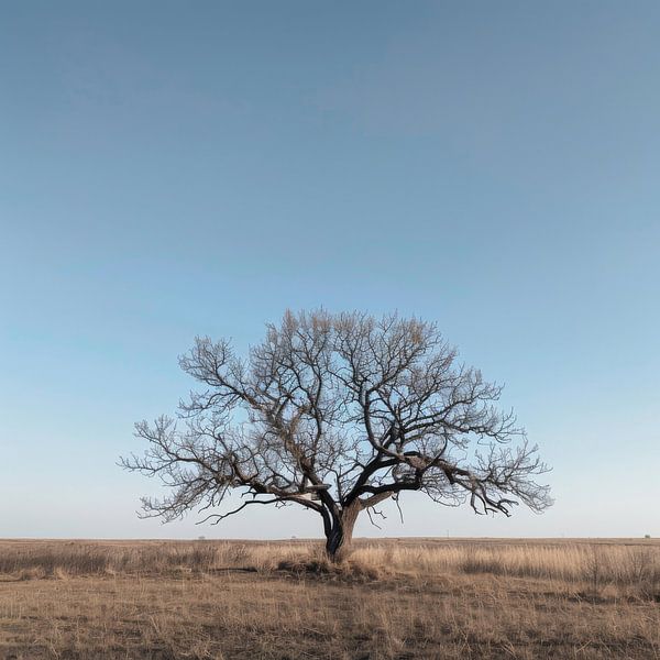 Einsamer Baum