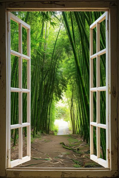 Fensterblick in den Bambuswald