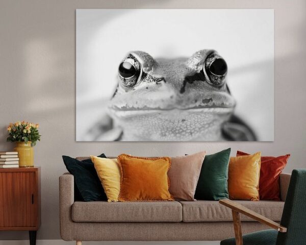 Frosch