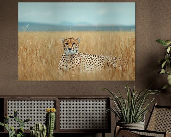 Gepard