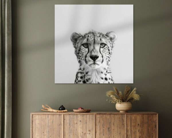 Gepard