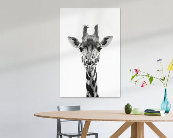 Giraffe in Schwarz-Weiß