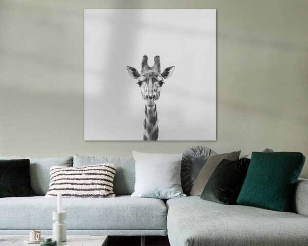 Giraffe in Schwarz-Weiß