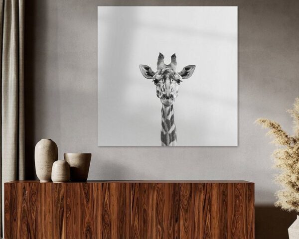 Giraffe in Schwarz-Weiß