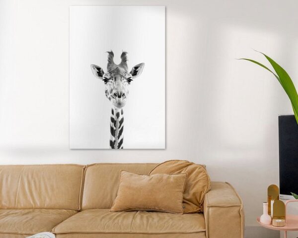 Giraffe in Schwarz-Weiß