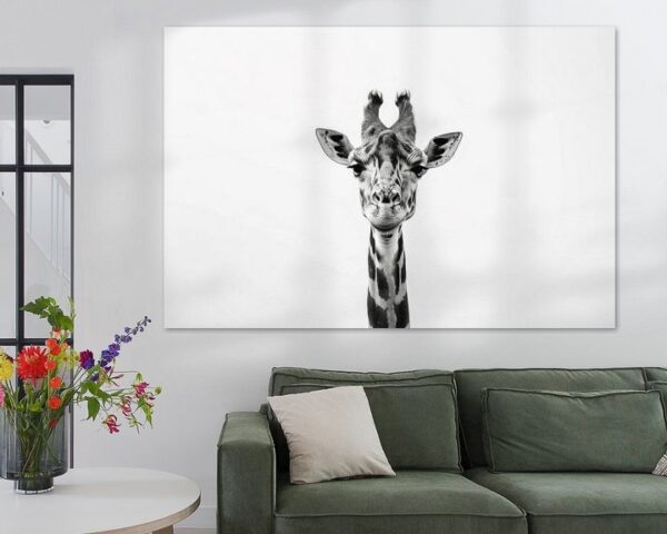 Giraffe in Schwarz-Weiß