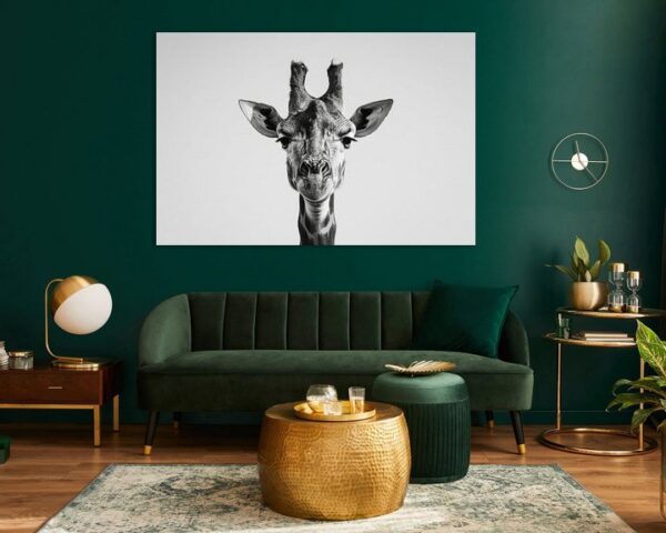 Giraffe in Schwarz-Weiß - Minimalistische Tierkunst