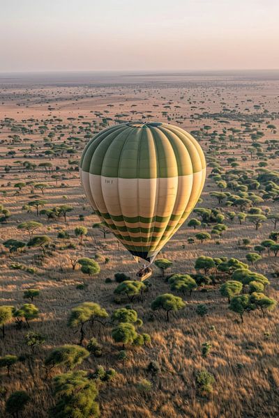 Heißluftballon über der Savanne