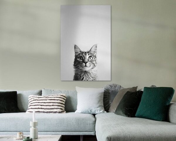 Katzen Portrait