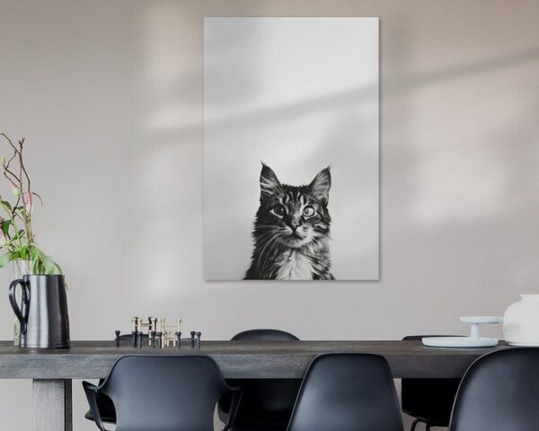 Katzen Portrait