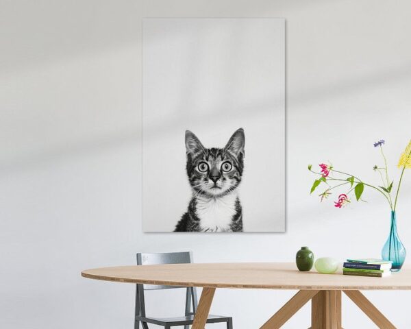 Katzen Portrait