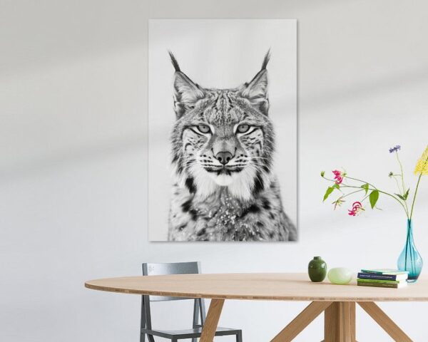 Luchs