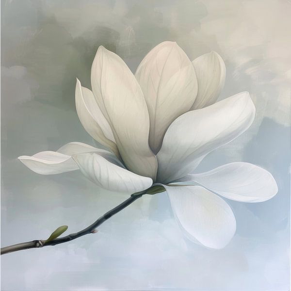 Magnolia