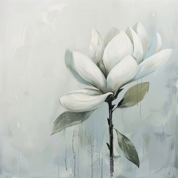 Magnolia