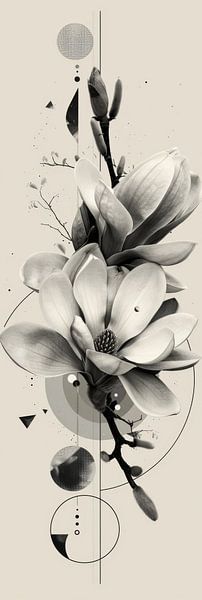 Magnolia Blüte