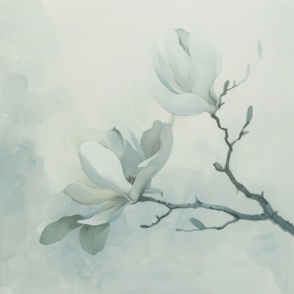 Magnolia