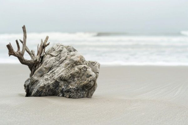 Minimalistische Strandfotografie – Ruhe am Meer mit Treibholz