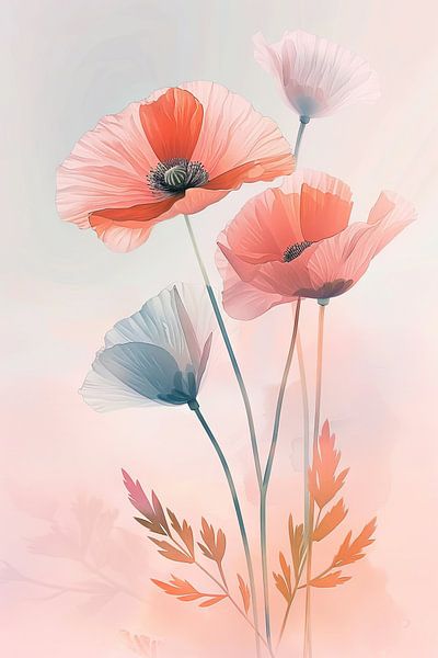 Mohn