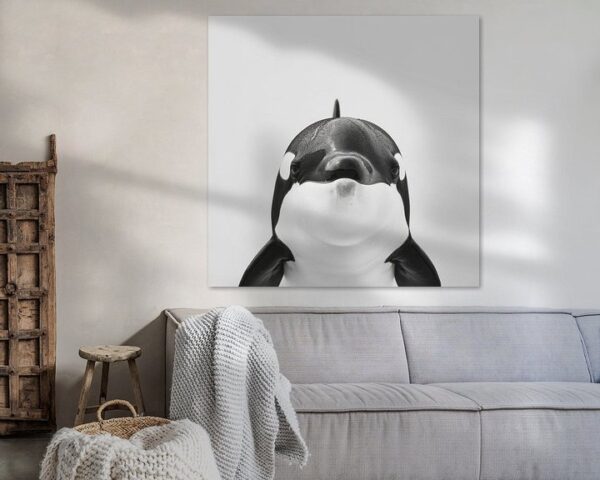 Orca